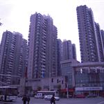 潭o